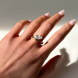 Vienna Ring - Gold
